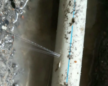 资源卫生间测漏水多少钱
